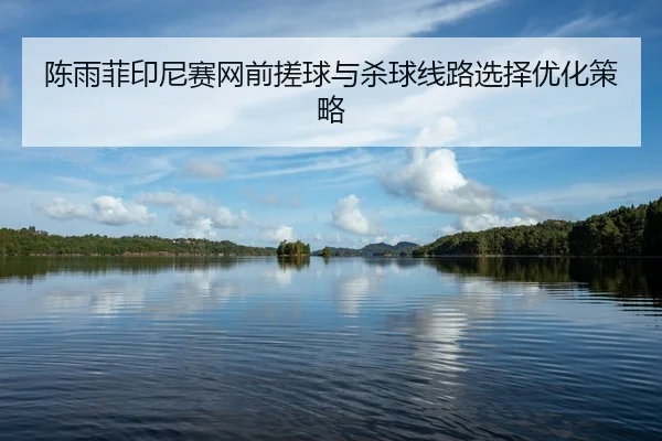 陈雨菲印尼赛网前搓球与杀球线路选择优化策略