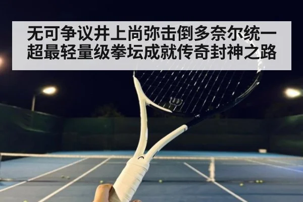 无可争议井上尚弥击倒多奈尔统一超最轻量级拳坛成就传奇封神之路